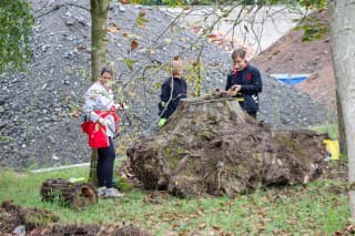 Hmyzie domček začiatok